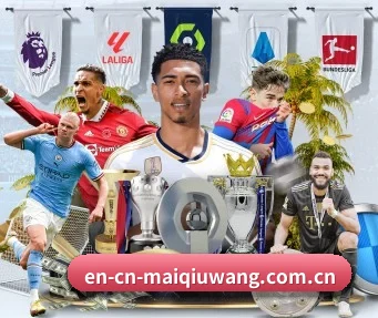 en-cn-maiqiuwang.com.cn APP